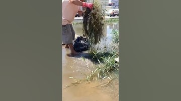 Useful of Remove Debris Grass Unclogged and Flooding#cleaning #shorts #unclog #plastic