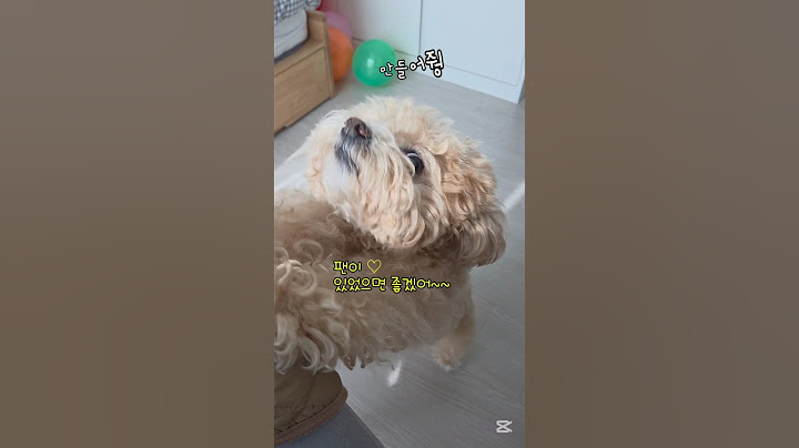 빨리~만들어줘ㅠㅠ~one's earnest wish #소원