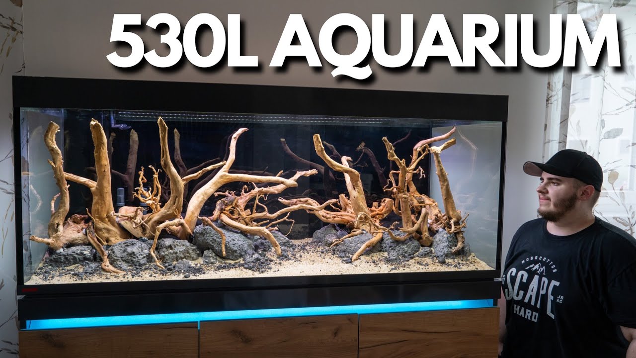 XXL Aquarium einrichten! Eheim Incpiria 530 Hardscape!