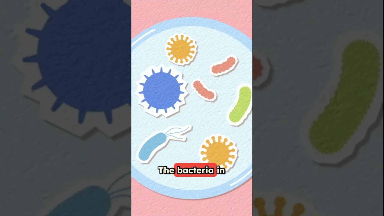 Baldness Cure? Is Pigeon Poop the Key?