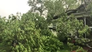 Video Now: Tree falls on top of house in North Providence