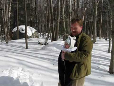 Berkshires Dogs.wmv