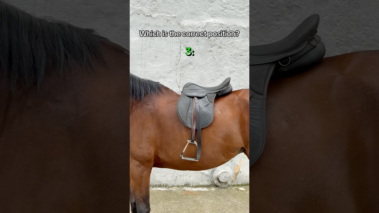 Which is correct? Ctto:clubolimphorse 