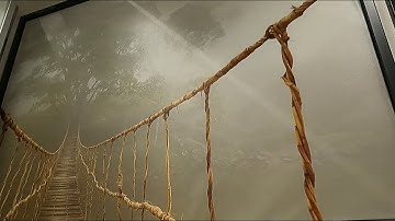 IKEA BJORKSTA PICTURE AND FRAME JUNGLE JOURNEY CLOSER LOOK IKEA SHOP SHOPPING HOME DECOR REVIEW