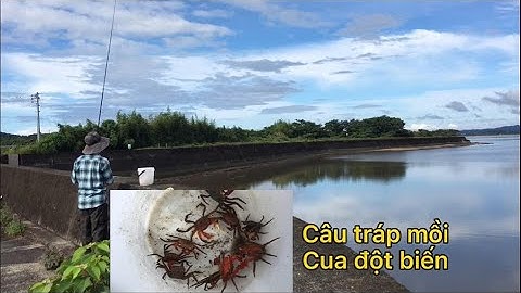 Câu cá tráp bằng mồi cua - phần 1 : "một ngày câu cá" _ Trần Gia Youtube