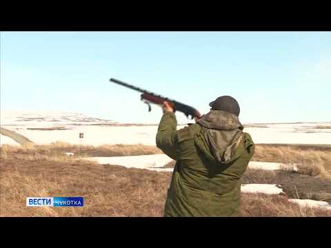 Сезон охоты открыт