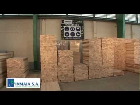 BALSA WOOD - INMAIA 2012 -.mp4