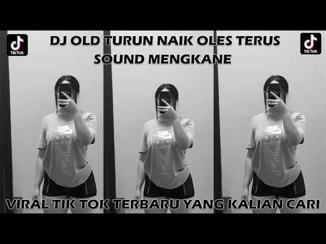 DJ TURUN NAIK OLES TERUS SOUND MENGKANE (Slowed & Reverb) VIRAL TIK TOK YANG KALIAN CARI🎵 class=