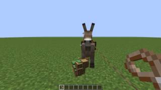 Eşşek Eğitimi Ve Sandık Takılımı Minecraft