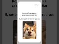 Чиним баги
