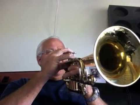 Bach Stradivairus Mdl 165 Flugel SN# 24544 Mt Vernon