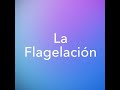 La flagelacin