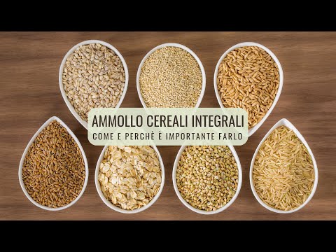 Video: Afide Dei Cereali Comune Amante Del Calore