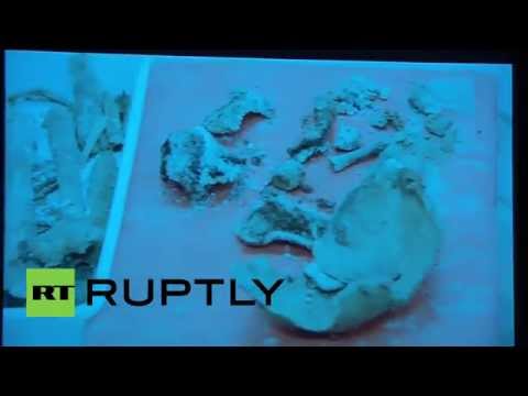Spain: Scientists discover tomb of famed Don Quixote author Cervantes