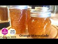 How to make orange marmalade with pectinhot water bath canning method canuary 2023