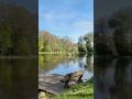 ❗️Neues Video jetzt online ❗️ Schaut vorbei 🐳🔥 #fishing #carpfishing #frühling #carp #gewinnspiel