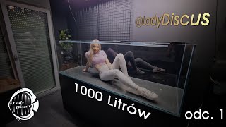 Lady Discus  1000L Zakładanie akwarium dla Dyskowców odc.1  Sprzęt i Hardscape