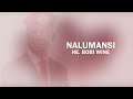 Nalumansi Bobi wine lyrics video