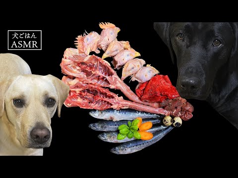 【ASMR  犬ごはん】生肉や生魚を食べまくるラブラドールレトリバーの咀嚼音/Raw Feeding/Dogs asmr