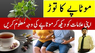 Can’t Lose Weight? This Might Be the Reason!