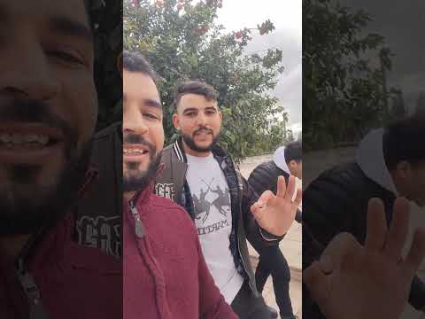 لونكلي نقية