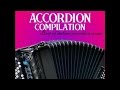 Accordion compilation vol. 2 - Best of italian accordion music