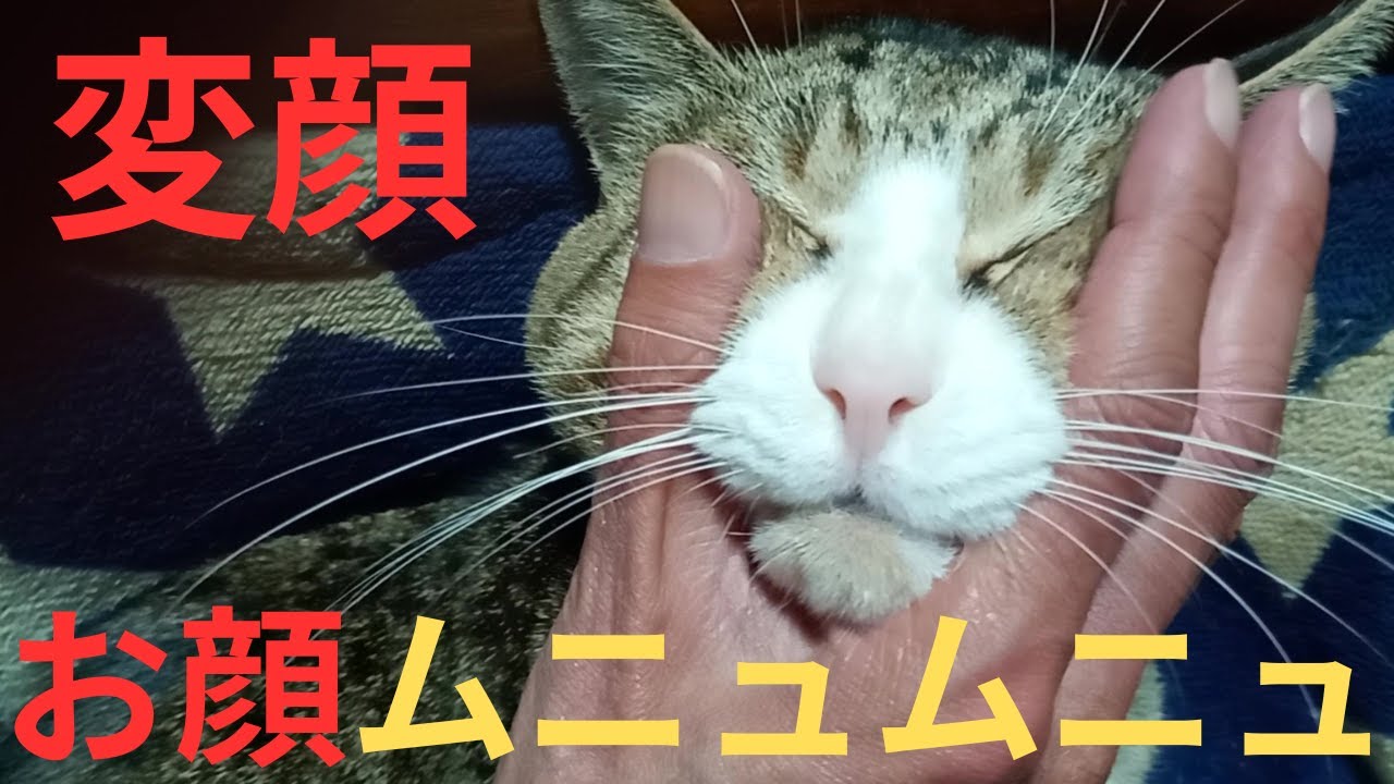 たまちゃんの変顔コレクション😸