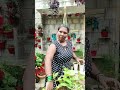 #gardening #gardeninglife