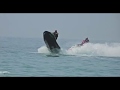 אופנוע ים אריות הים 9-4-19  Sea Lions jet ski Original