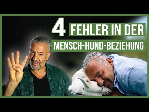 Vermeide diese 4