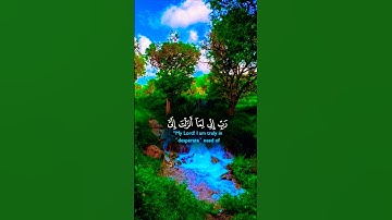 تلاوة خاشعة بصوت جميل ومؤثر #اكسبلور #تلاوة #islamic_video #aslam #المصحف #trend #duet