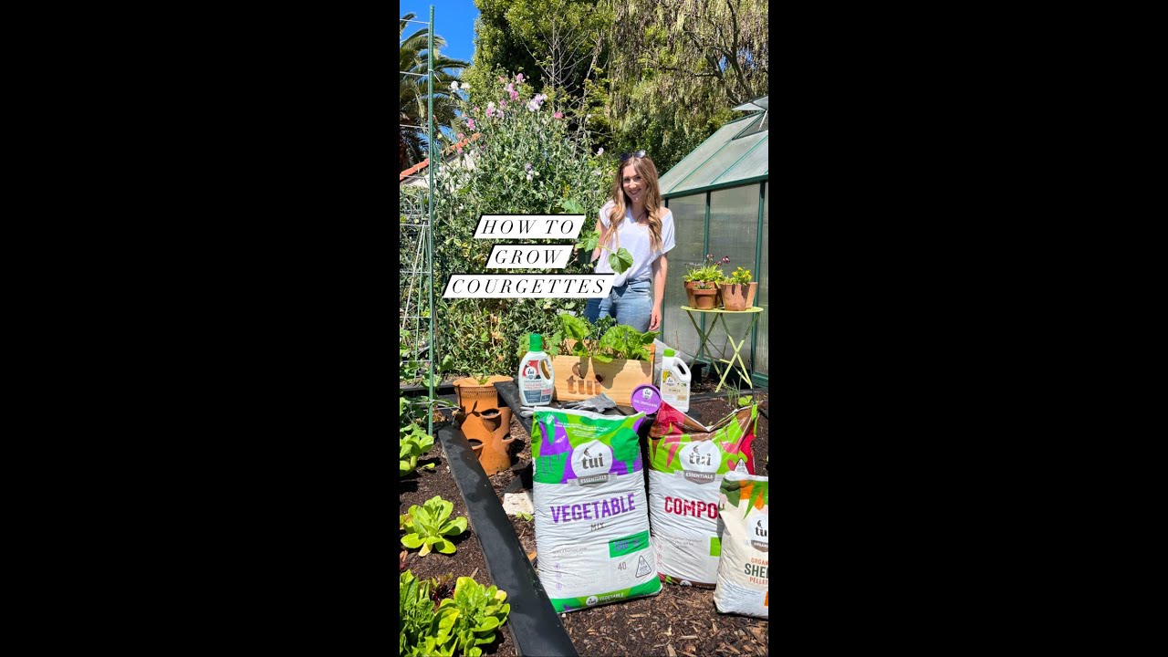 how-to-plant-courgettes-with-annabel-youtube