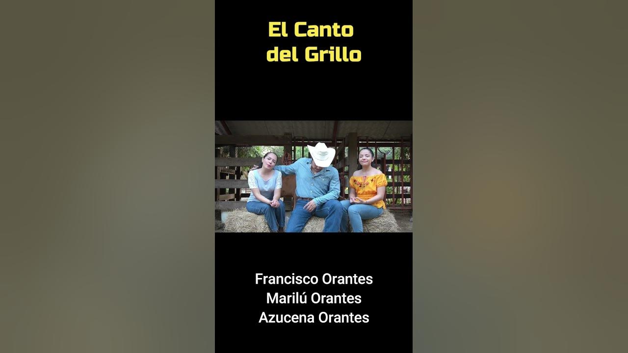 El Canto Del Grillo Al Despertar Youtube