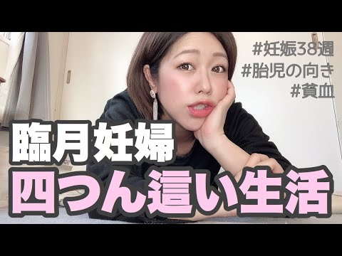 妊娠38週 出産間近 臨月妊婦の最近の生活 Youtube