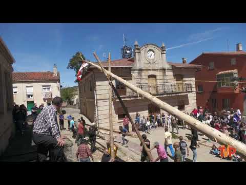 Pingada del Mayo en Pinilla de los Barruecos