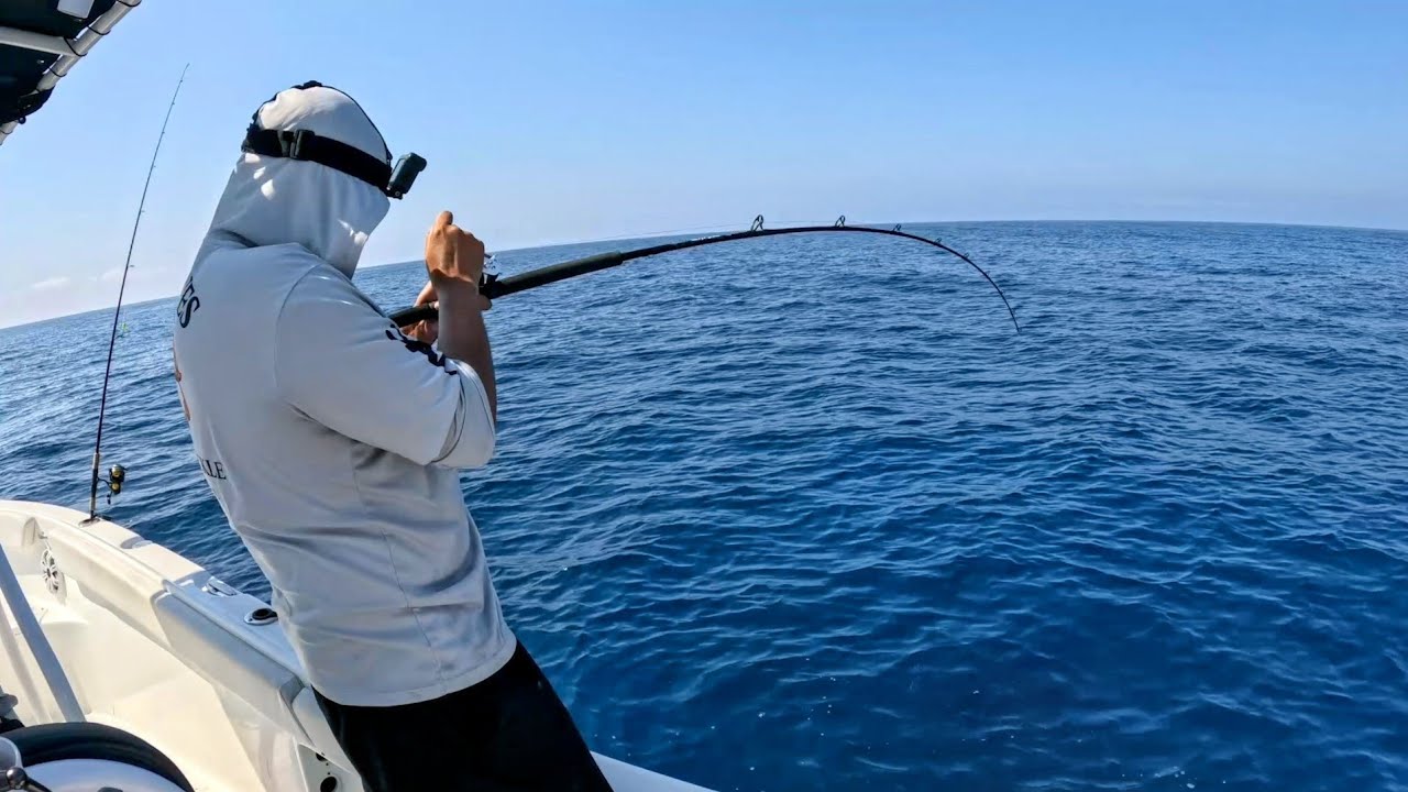 I Found The Secret BAIT! Offshore Fishing Gulf of Mexico 