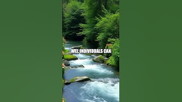 Seeking Harmony with the Dao: The Way of Wu Wei