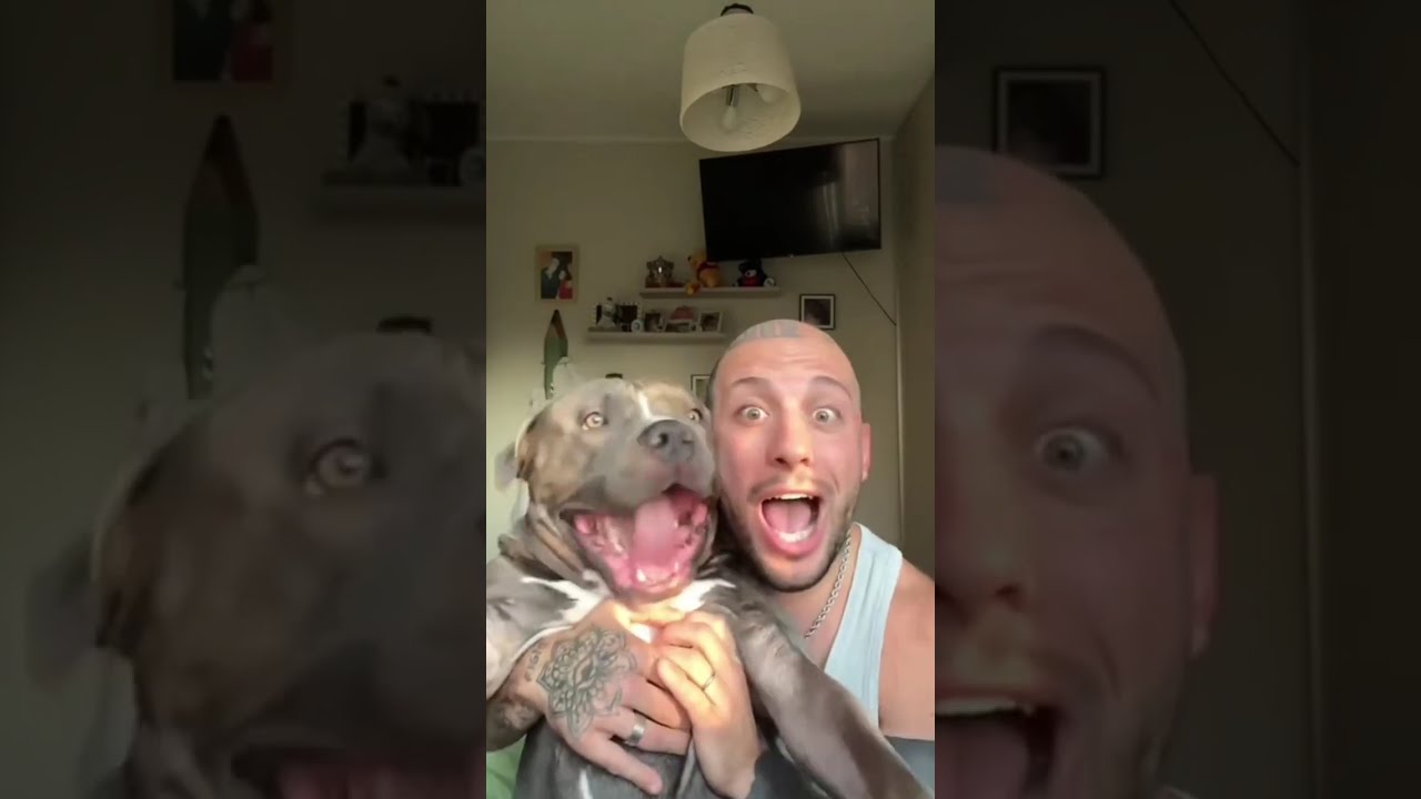 Funny Dog Expressions #Funny #Cute #Dog #Trending #ForYou