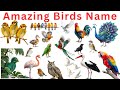 Birds Name Learning Video | Birds for Preschool &amp; Nursery Kids Learn Easily |