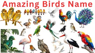 Birds Name Learning Video | Birds for Preschool &amp; Nursery Kids Learn Easily |