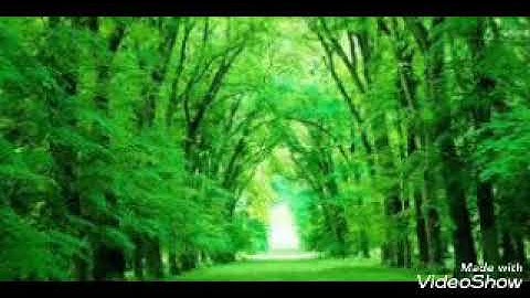 تلاوة رائعة.. ما تيسر من سورة المؤمنون