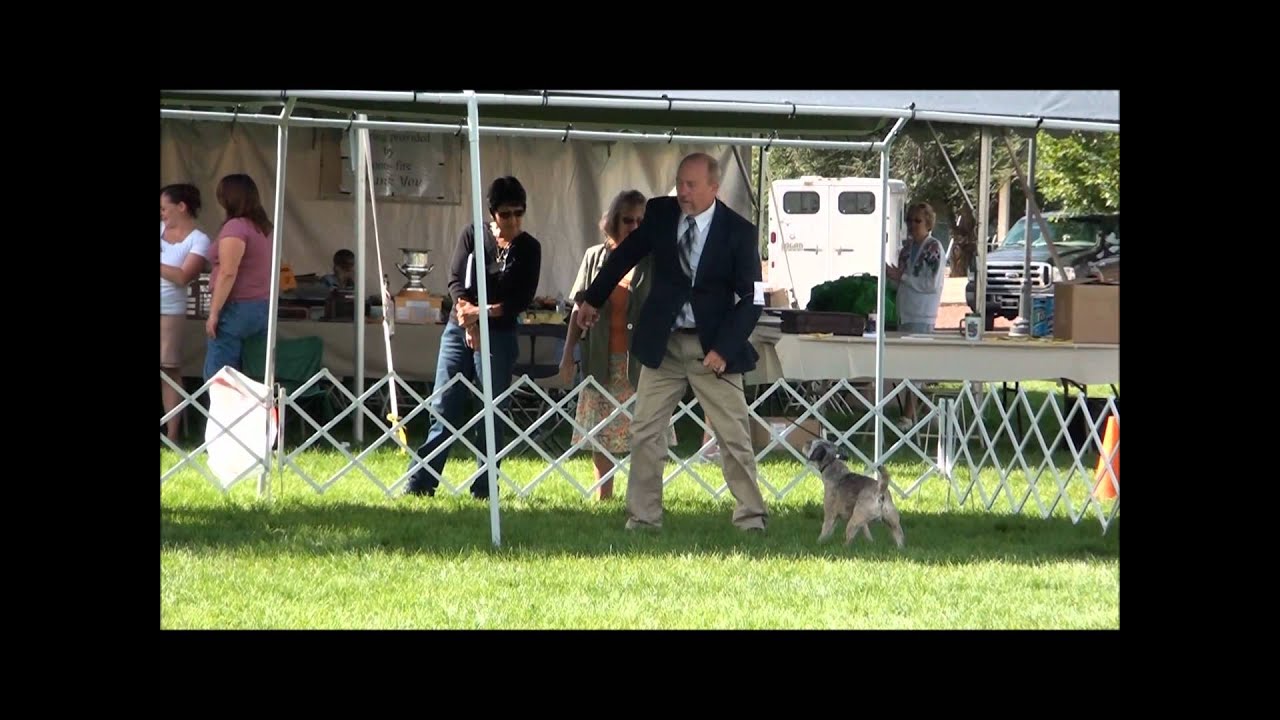 CH Kobolds Road Warrior - BTCA 2011 National Specialty