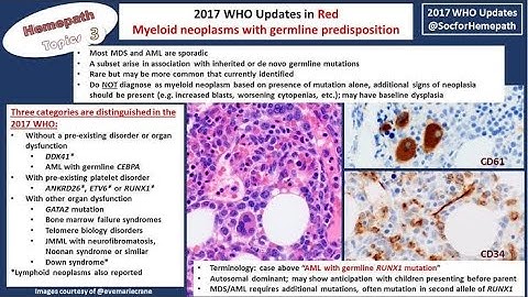 Myeloid neoplasms with germline mutations and organ dysfunction