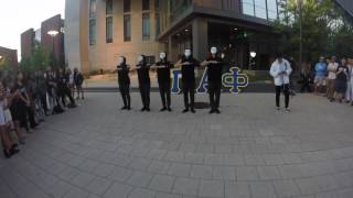 Drexel Pi Alpha Phi - Gamma Class Probate