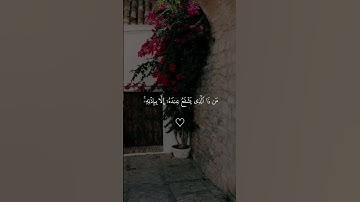 اية_الكرسي_ماهر_المعيقلي _سورة البقرة