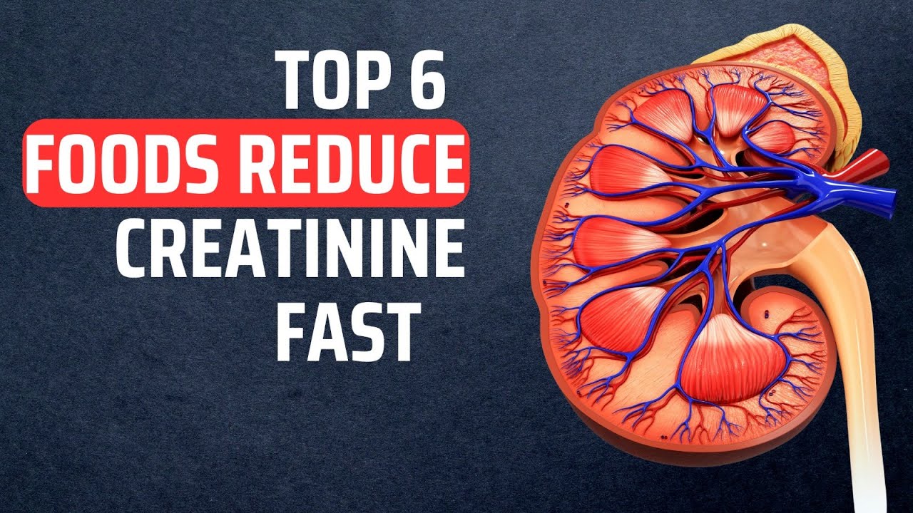6 Superfoods That Reduce Creatinine Fast and Improve Kidney Health ...