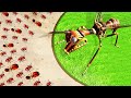 NEW Fire Ant Army vs HUGE BOSS FROG! | Empires of the Undergrowth