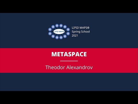 Theodor Alexandrov- METASPACE