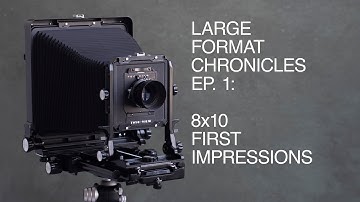 8x10 film photography - first attempt