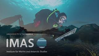Asparagopsis armata (red seaweed) underwater towed video camera survey in Great Oyster Bay by IMAS - Institute for Marine and Antarctic Studies 173 views 8 months ago 56 seconds